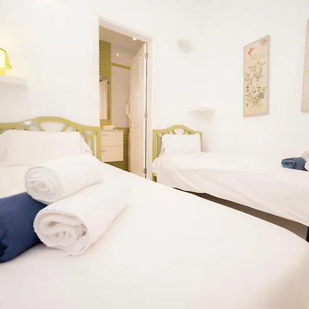 Seagulls Melody C-209