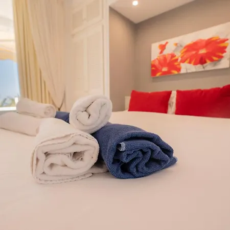 Seagulls Melody C-209 *