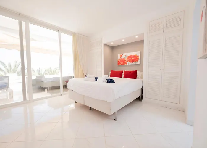 Seagulls Melody C-209 * Адехе