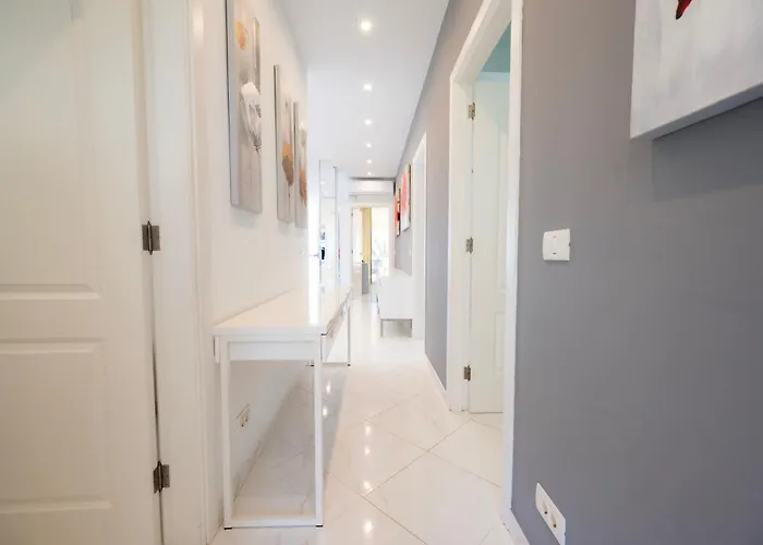 Seagulls Melody C-209 Адехе