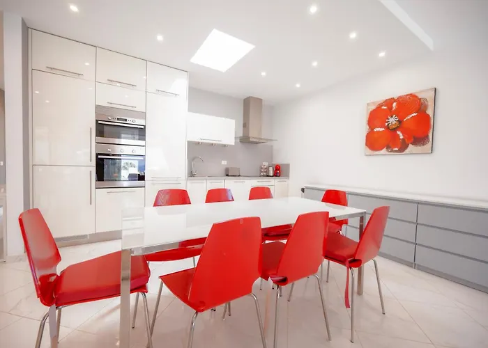 Seagulls Melody C-209 Адехе