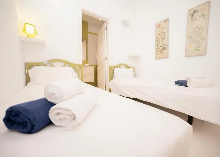 Seagulls Melody C-209