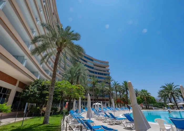 Seagulls Melody C-209 * Адехе