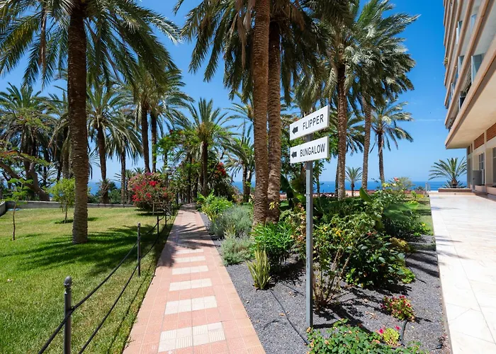 Seagulls Melody C-209 *