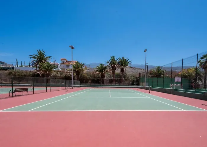 Seagulls Melody C-209 Адехе