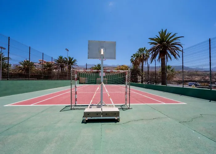 Seagulls Melody C-209 * Адехе